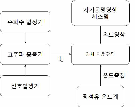 고주파 전류 인가 시스템의 실험 구성도