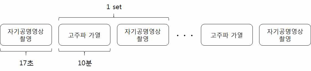 고주파 전류 인가 시스템 실험 순서도