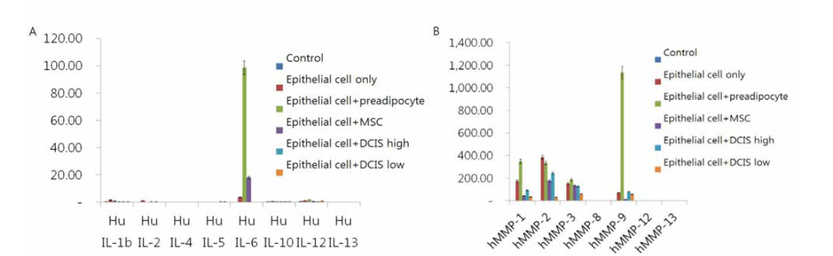 정상유방상피세포 (epithelial cell) 및 지방전구세포 (preadipocyte)로 구성된 유방암 장기칩의 배 양액에서 IL-6 (A) 및 MMP-9 (B)의 분비가 증가됨을 ELISA로 분석.