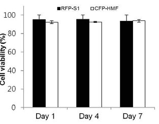 장기 칩내에서의 유방상피세포 (RFP-S1) 및 기질세포 (CFP-HMF)의 세포생존율. 1주일 배양기 간 동안 유의한 세포생존율 감소는 나타나지 않음.