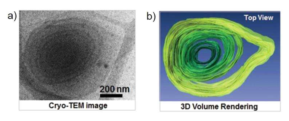 a) Cryo-TEM image of onion-like vesicles and b,c) the reconstructed image and 3D volume data showing the multi-walled vesicles with water channels