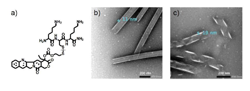 a) Chemical structure of HA-KCK-CPT. TEM micrographs of HA-KCK-CPT at a concentration of b) 400 μM and c) 50 μM.