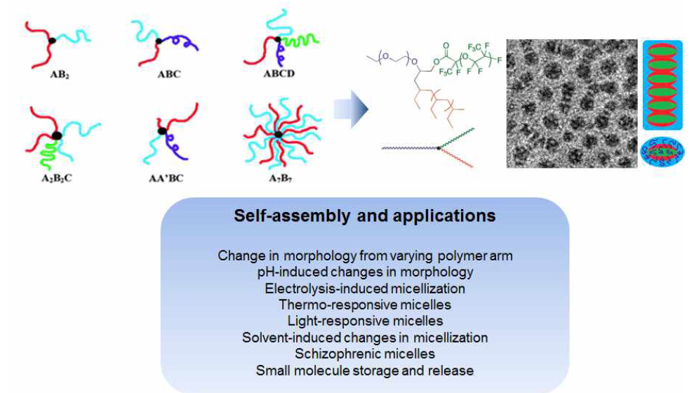 AB2형 외 다양한 모양과 분자량을 지닌 믹토암 고분자와 자기조립 응용의 예[2]