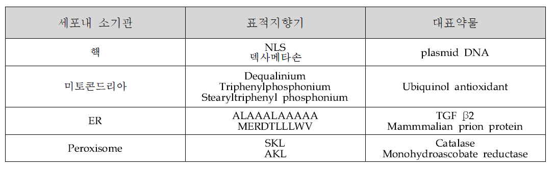 세포소기관 표적화를 위한 표적지향기와 적용약물