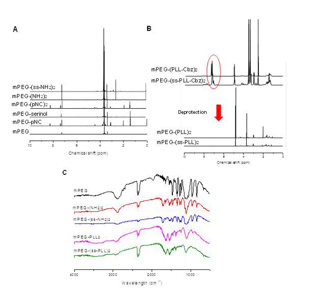 1H-NMR and FT-IR analysis to confirm the synthesis of the mPEG-(PLL)2 and mPEG-(ss-PLL)2 cationic AB2 miktoarm polymers. A. 1H-NMR spectrum of each derivatives of mPEG-(PLL)2 and mPEG-(ss-PLL)2 to confirm conjugation and presence of moieties. B. 1H-NMR spectrum indicating deprotection process. C. FT-IR spectrum each derivatives of mPEG-(PLL)2 and mPEG-(ss-PLL)2.