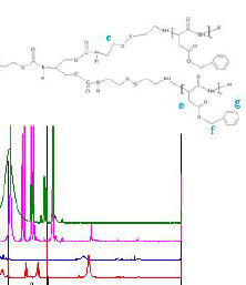 1H-NMRspectrumofBLA,BLA-NCA,mPEG,mPEG-(ss-NH2)2andmPEG-(ss-PBLA)2.