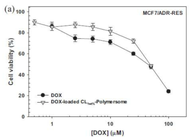 DOX가 봉입된 콜레스테롤 1wt% 함유 폴리머좀의 MCF7/ADR-RES 세포에 대한 항암효과