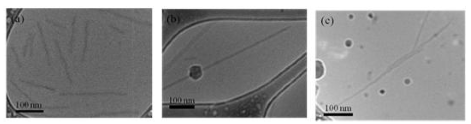Cryo-TEM images of worm-like micelles (a) M2, (b) M3 and (c) M4.