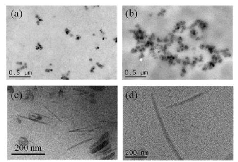 TEM images of (a) D2, (b) DOX-loaded D2 (c) M2 and (d) DOX-loaded M2 micelles.