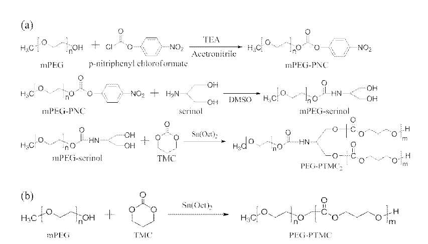 PEG-PTMC2 miktoarm copolymer PEG-PTMC diblock copolymer 합성전략