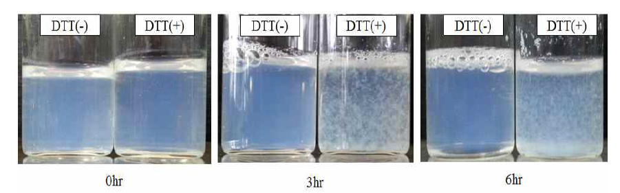 Bioreducible degradation behaviro of mPEG-(ss-PBLA)2 micelle during DTT test