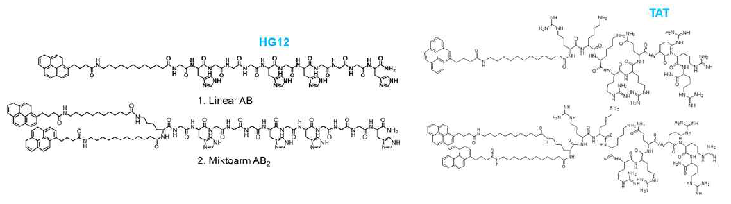 linear and miktoarm peptide amphiphiles for cellular uptake.