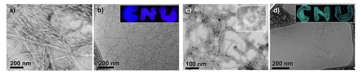 Visualization of the aqueous self-assembled nanostructures of PAs; (a,c) negatively stained TEM and (b,d) cryo-TEM images of the NFs of 1 and 2, respectively (inset: fluorescent optical image,scale bars: 1 mm).