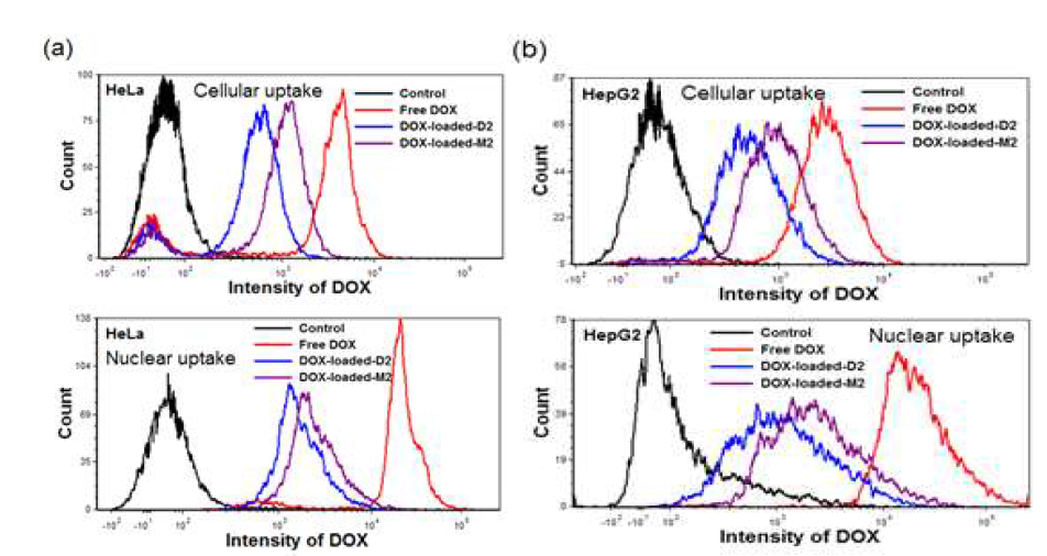 Cellular and Nuclear uptake of free DOX, DOX-loaded M2 and DOX-laoded D2 micelles in (a) HeLa and (b) HepG2 cells.