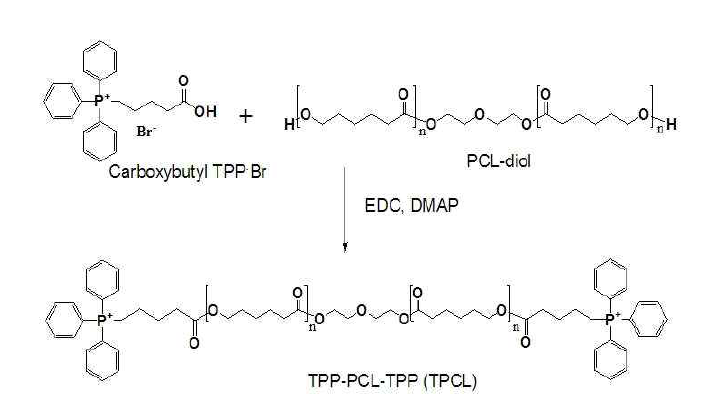 TPP-PCL-TPP (TPCL) 고분자의 합성과정