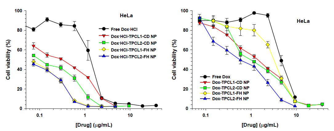 HeLa 세포를 이용한 약물봉입-TPCL 나노입자 항암특성 평가