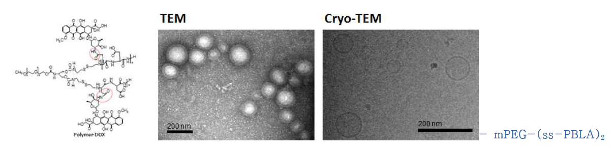 mPEG-(ss-PBLA)2 믹토암 고분자 나노베시클 제조