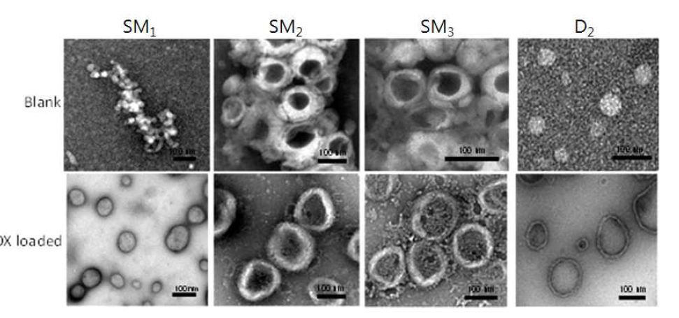 Size and morphology of the blank and DOX loaded nanoparticles measured by TEM shows formation micelles and vesicle based on molecular weight of the hydrophobic biarms.