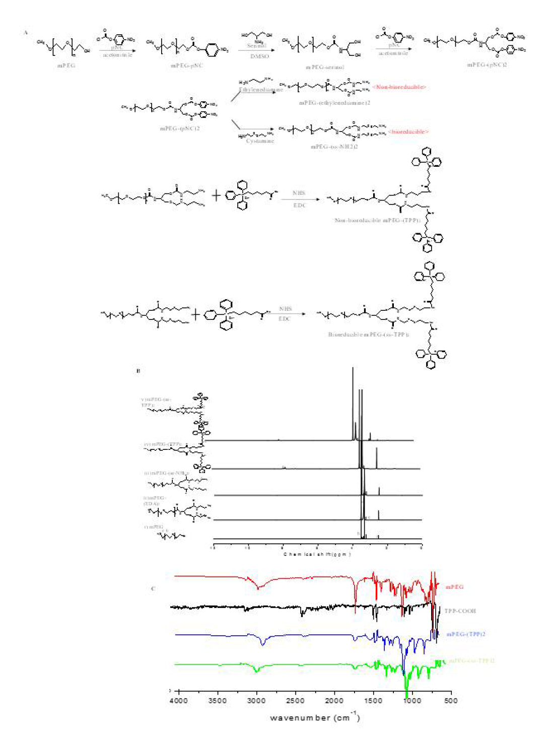 mPEG, mPEG-(NH2)2, mPEG-(ss-NH2)2, mPEG-TPP2, mPEG-(ss-TPP)2의 1H-NMR 스펙트럼과 mPEG, TPP-COOH, mPEG-TPP2, mPEG-(ss-TPP)2의 FT-IR 스펙트럼