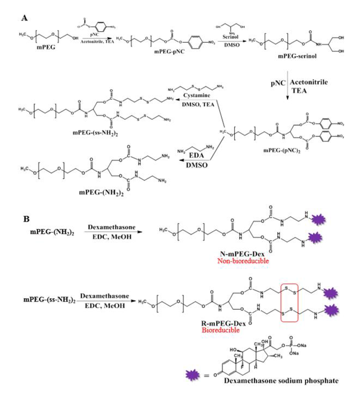 mPEG-Dex의 합성과정