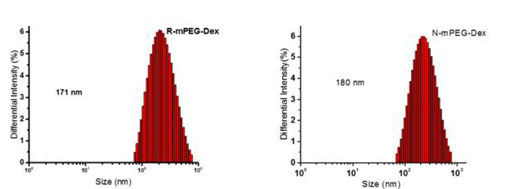 mPEG-DEX의 사이즈 분포도 측정 결과