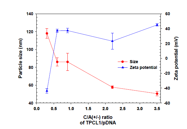 TPCL1/pDNA 나노복합체의 입자크기 및 제타전위
