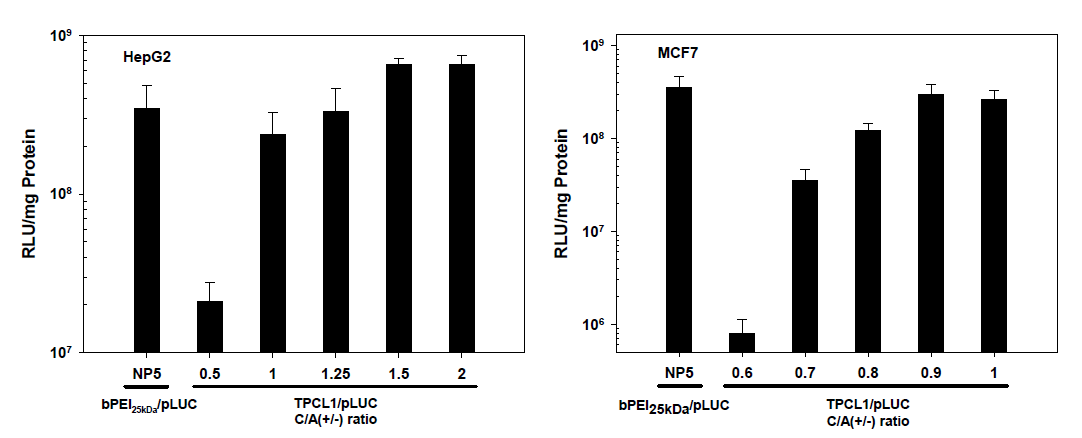 HepG2 세포 및 MCF7 세포에서 TPCL1/pDNA 나노복합체의 유전자 발현 효율 (2d-post transfection)