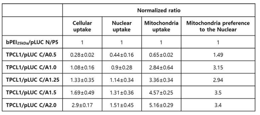 TPCL1/pDNA 나노복합체의 세포유입량, 핵유입량, 미토콘드리아유입량 비교