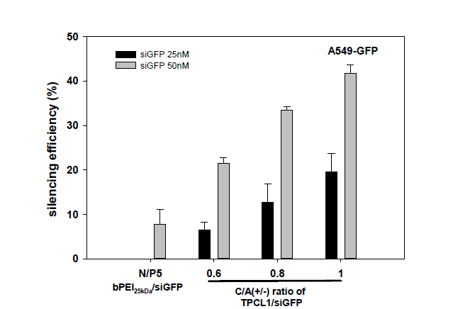 A549-GFP 세포에서 TPCL1/siRNA 나노복합체의 유전자 간섭 효율