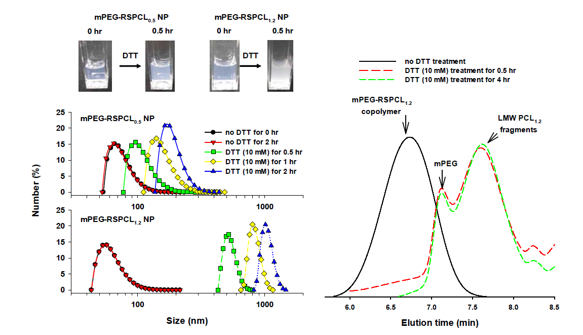환원환경 하에서의 mPEG-RSPCL 나노입자의 크기 변화와 mPEG-RSPCL 고분자의 분자량 변화