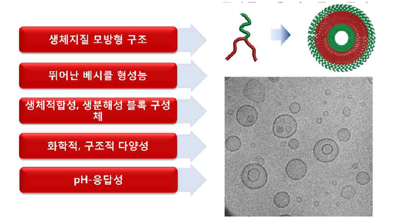 나노베시클 제조를 위한 믹토암 고분자 빌딩 블록의 장점