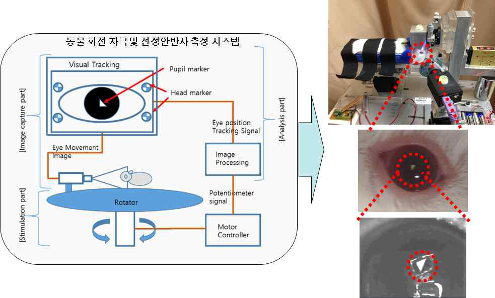 동물 회전 자극 및 전정안반사 측정 시스템 개요도