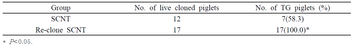 Transgenic efficiency of live piglets after embryo transfer of porcine SCNT embryos