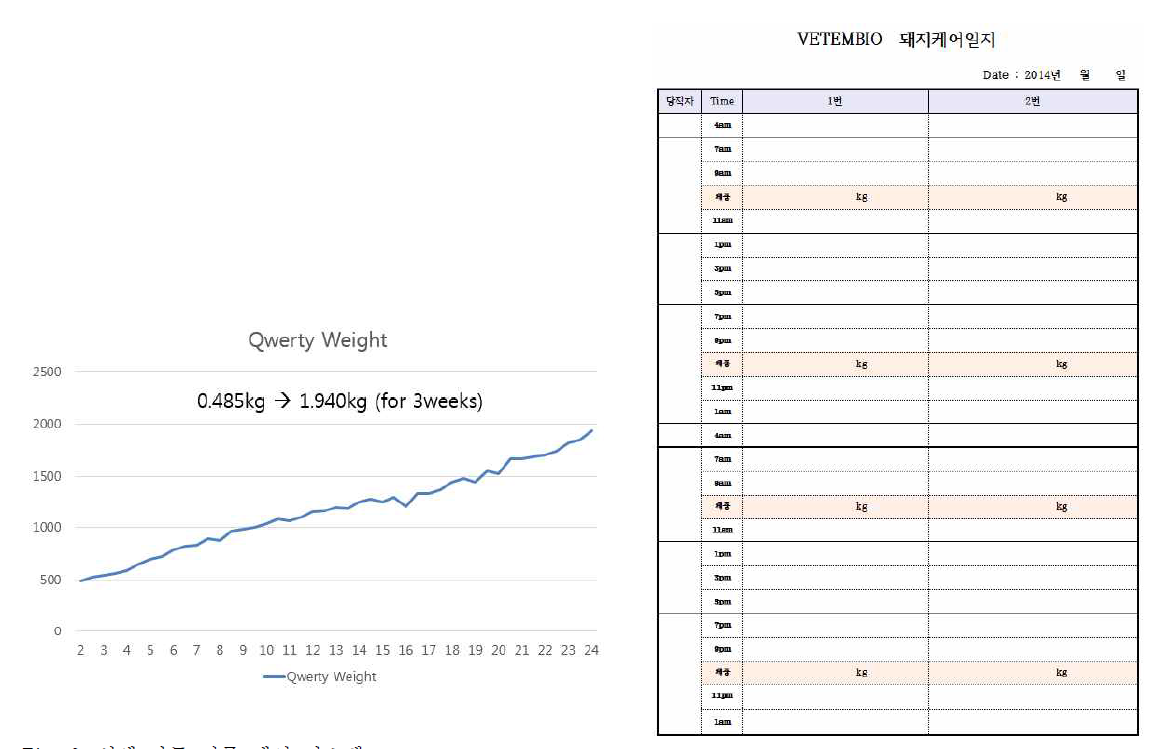 신생 자돈 집중 케어 시스템