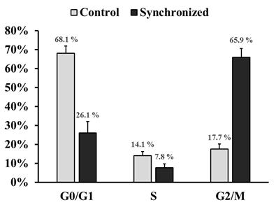 Relative mean (±SD) percentages of fibroblast cells in various cell cycle phases and subject to different cell treatments