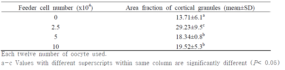 Effects of the co-culture system on matured oocyte cortical granules during IVM