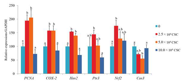 The mRNA expression of PCNA, COX-2, Has2, Ptx3, Nrf2, and Caspase-3 in matured COCs co-cultured with CSCs during in vitro maturation