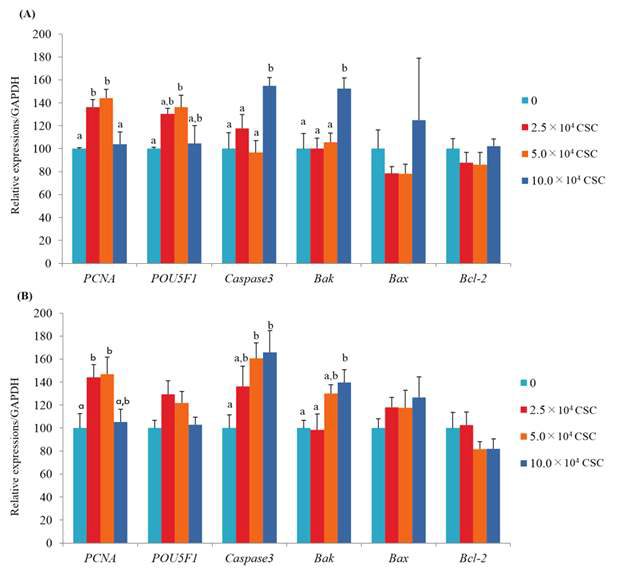 Mean ± SEM expression values of PCNA, POU5F1, Caspase-3, Bax, Bak, and Bcl-2 mRNA in (A) IVF blastocysts and (B) PA blastocysts incubated with cumulus-derived somatic cells during in vitro maturation (IVM).