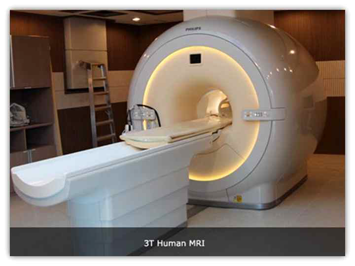 촬영에 사용된 PHILIPS, Achieva 3.0T MRI