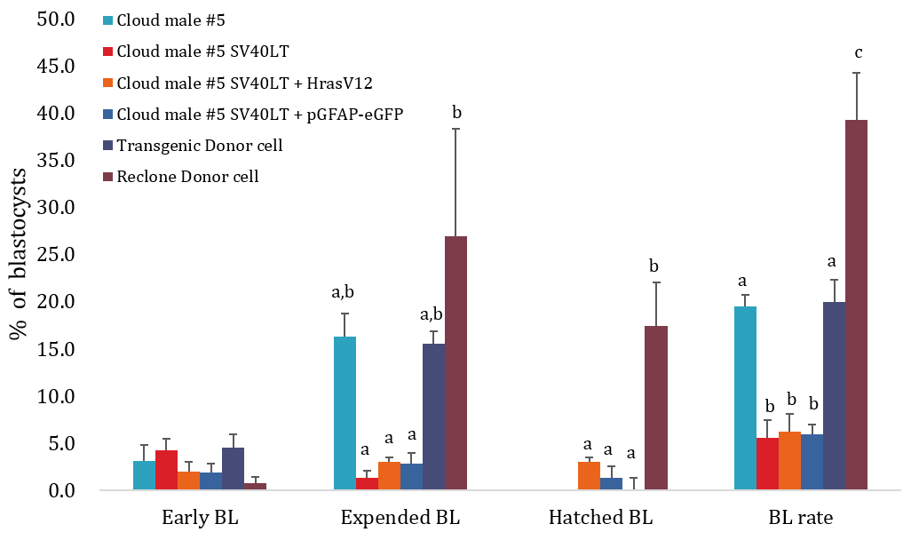 Effect of different donor cell type during preimplantation development of SCNT embryos that evaluate of blastocyst stage at Day 7.