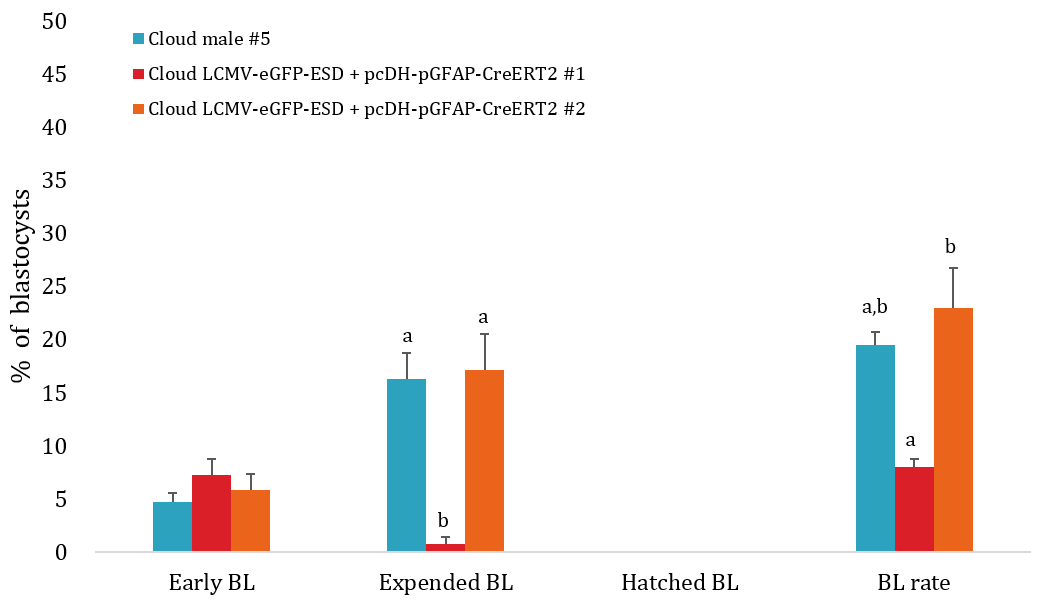 Effect of different donor cell type during preimplantation development of SCNT embryos that evaluate of blastocyst stage at Day 7.