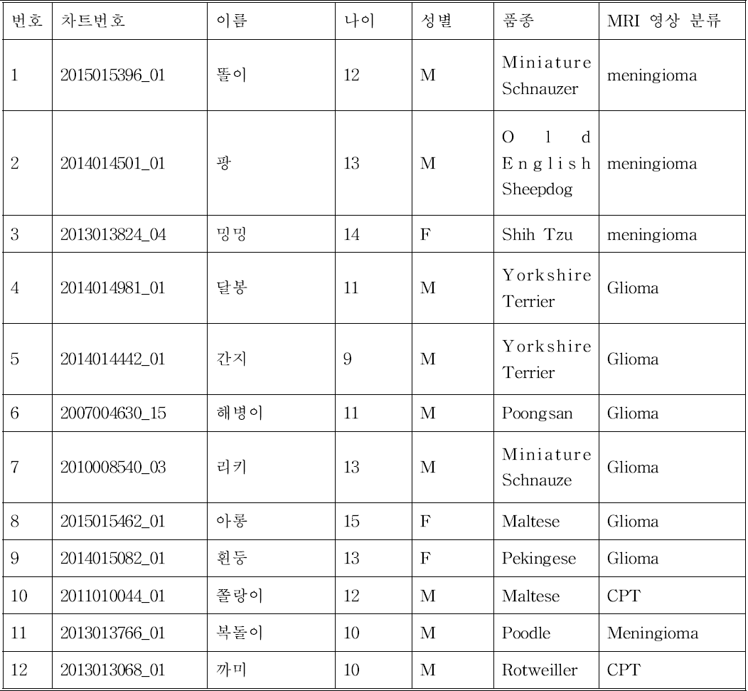 충북대학교 동물의료센터 뇌종양 환자 목록