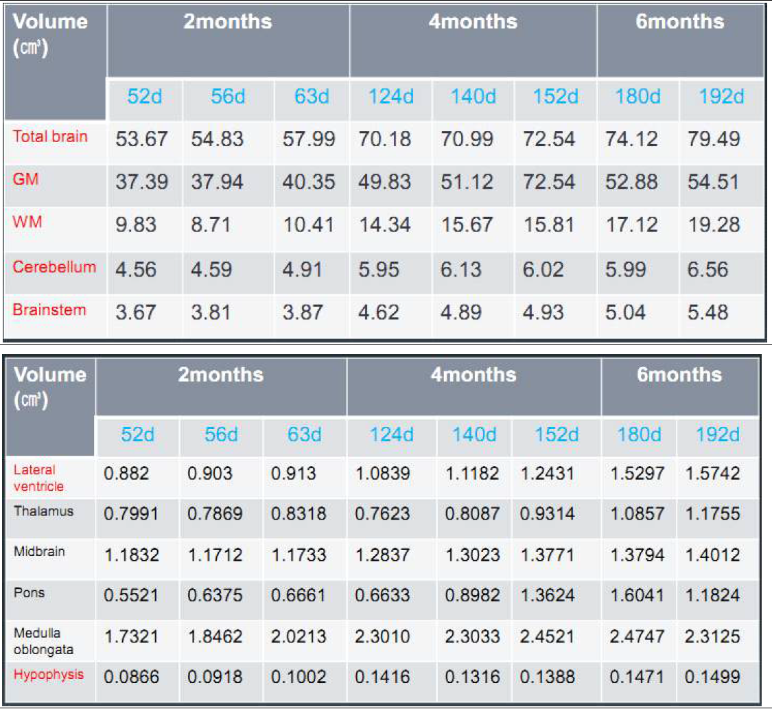 각 월령별 해부학적 부위의 volumetry 결과