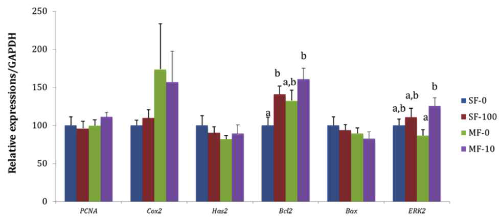 Mean (±standard error of the mean) expression of PCNA, COX2, Has2, Bcl-2, Bax, and ERK2 messenger RNA (mRNA) in cumulus cells treated with human recombinant granulocyte-colony stimulating factor during IVM