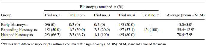 Association between the quality and attachment efficiency of in vitro fertilization blastocysts.