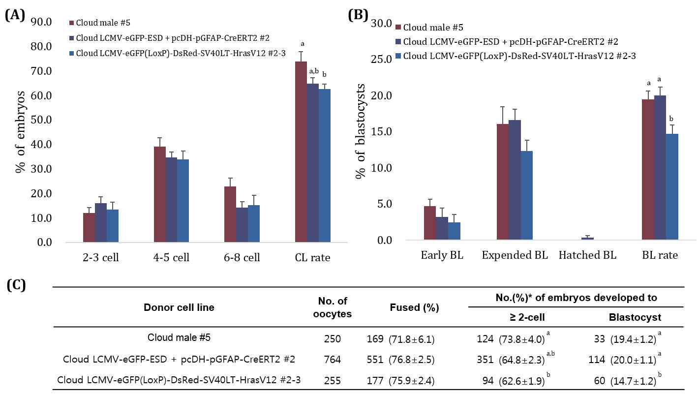 Effect of different donor cell type during preimplantation development