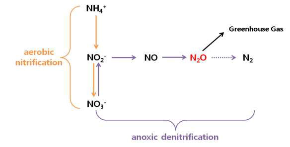 오폐수내의 질소 제거 생물학적 기작