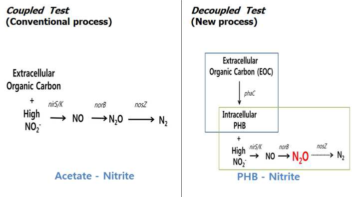 기존 탈질 공정과 CANDO 공정의 탈질작용 경로