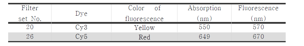 본연구진이 사용한 형광염색물질 정보