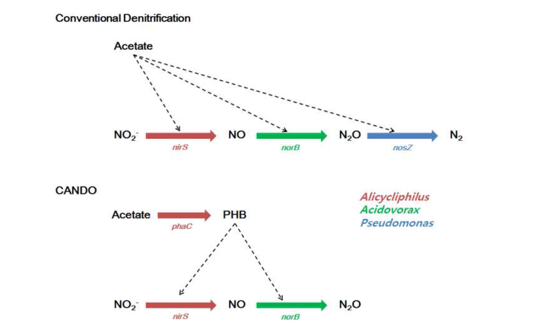 고농도 아산화질소 생성 미생물 pathway 모델